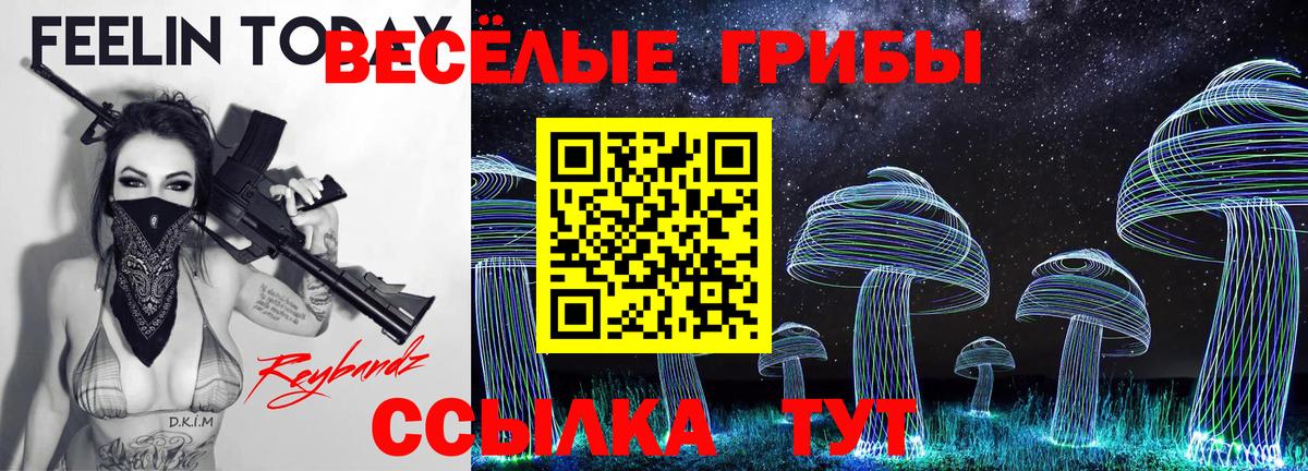 Галлюциногенные грибы MAGIC MUSHROOMS Зеленокумск